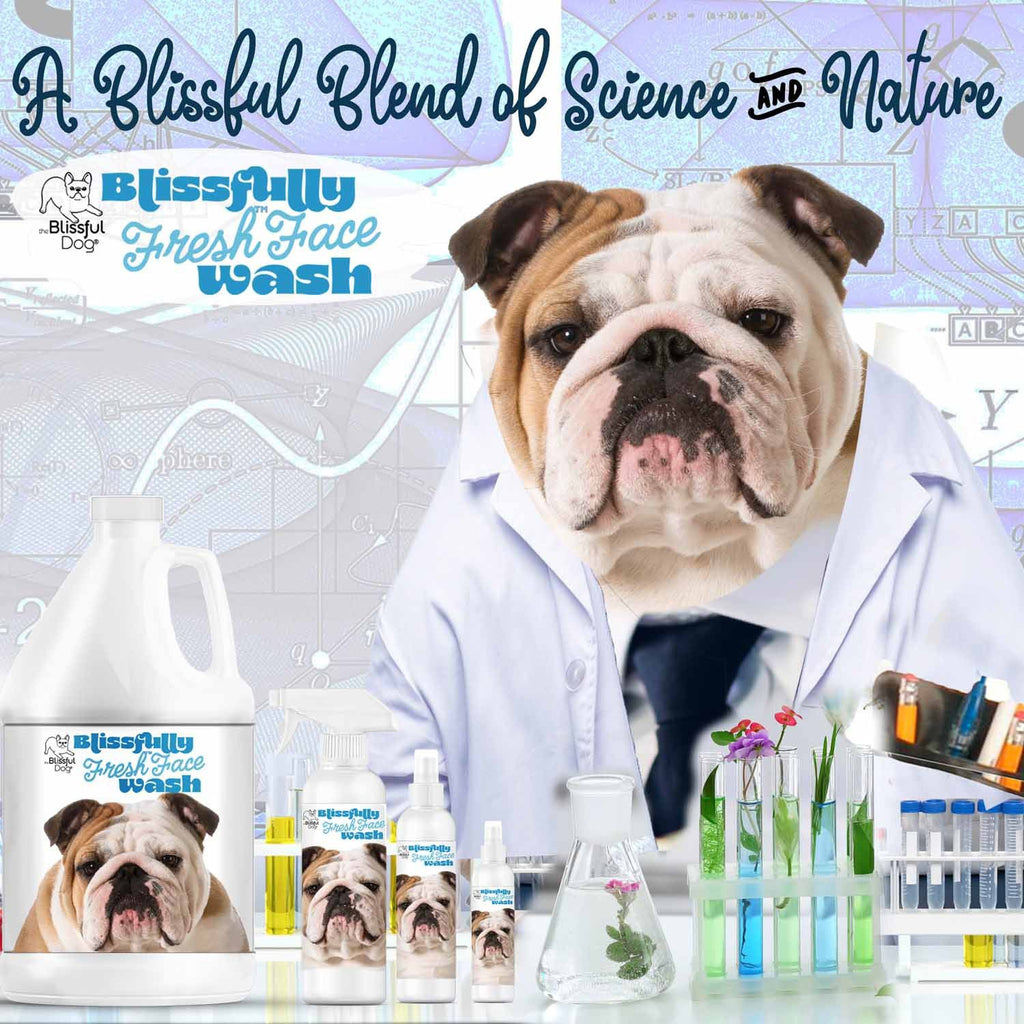 Blissfully Fresh Face & Wrinkle Wash by The Blissful Dog - product view 3