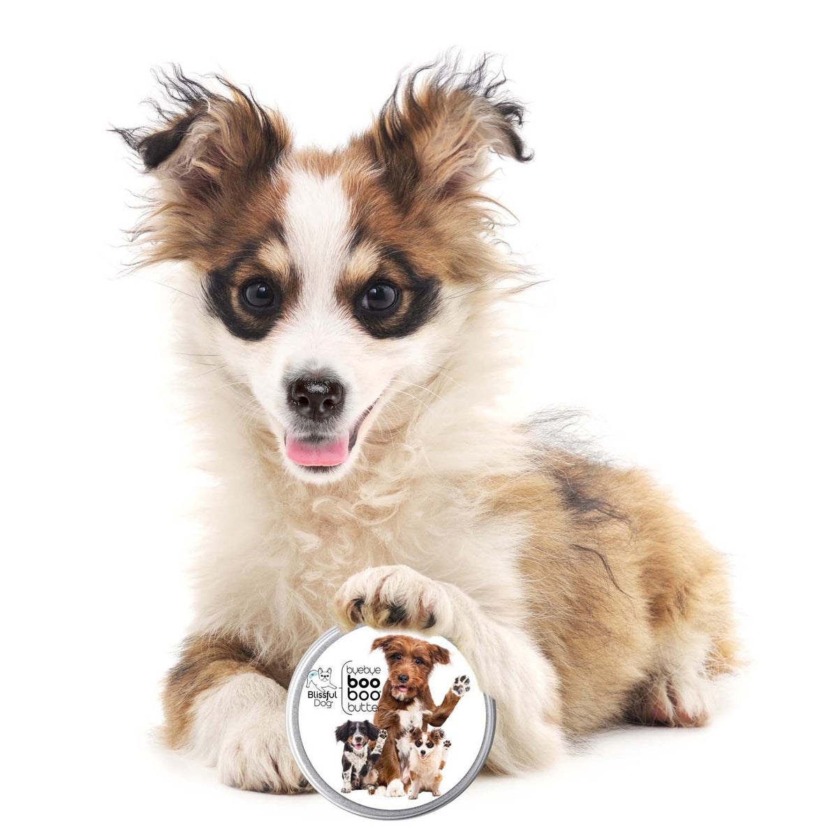 Boo Boo Butter by The Blissful Dog - product view 3