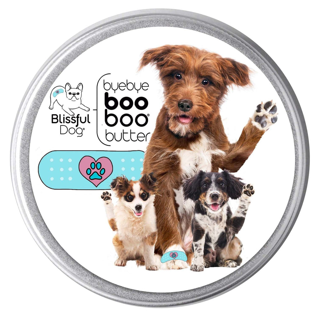 Boo Boo Butter by The Blissful Dog - product view 2