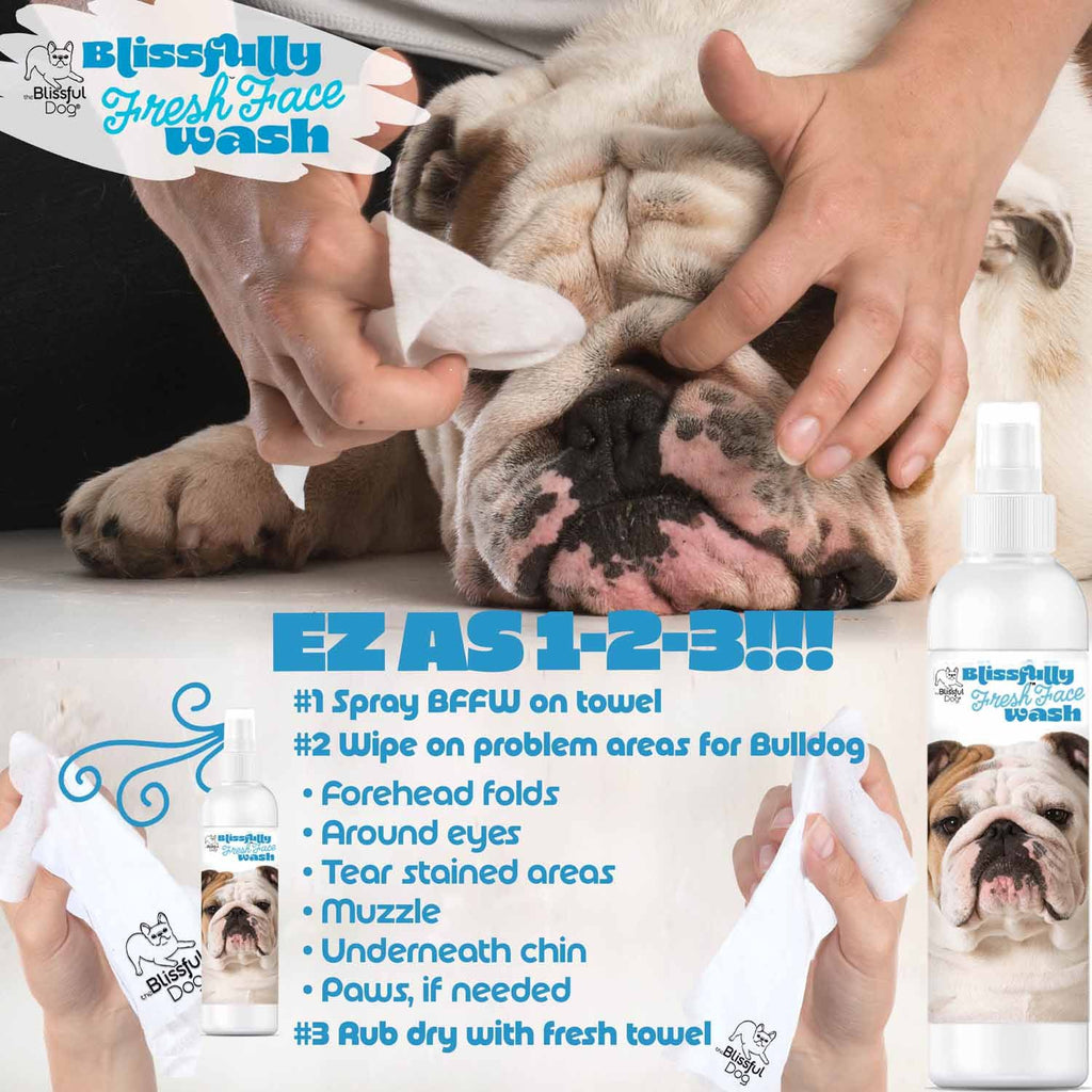 Blissfully Fresh Face & Wrinkle Wash by The Blissful Dog - product view 5